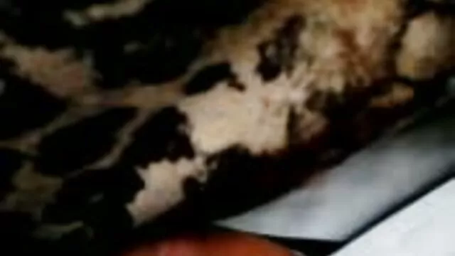 La femme a film porno espagnole enlevé sa robe de mariée et a eu du bon sexe sur le lit